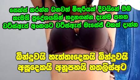 Desi aunty sir lanka visit fun agili somiya