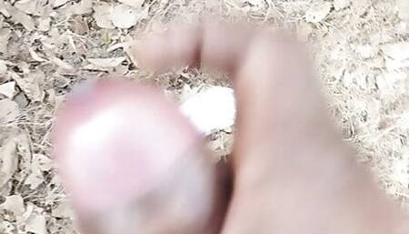 Desi land