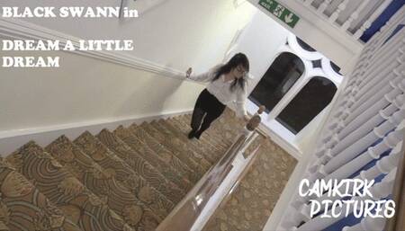 dream a little dream - fantasy trilogy