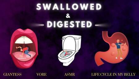 Swallowed & Digested - Giantess Vore ASMR (720)