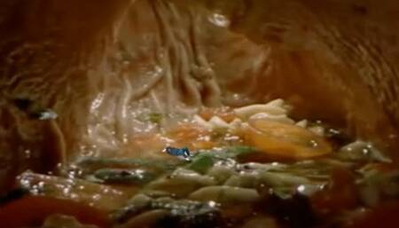 Giantess Digesting Tiny Human