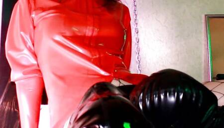 Fetish Goddess Mistress Eva Femdom BDSM Kink Latex Milf Facesitting Slave Pussy Lick Big Ass