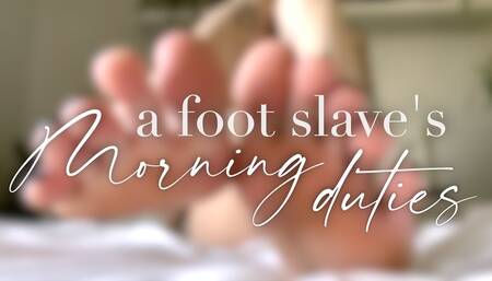 A foot slave's morning duties