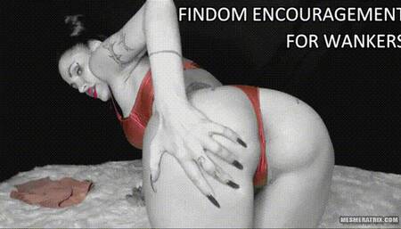 FINDOM ENCOURAGEMENT FOR WANKERS