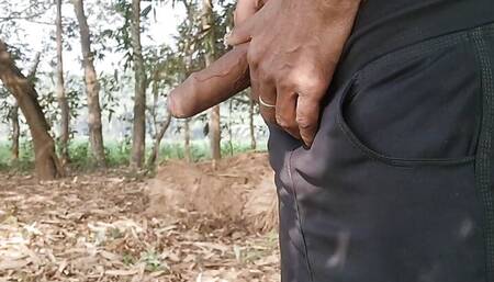 Indian Big Cock Masturbation in forest Outdoor