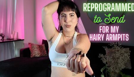 Reprogrammed to Send for Hairy Armpits