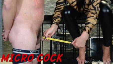 LUDOVICA LUXURY -MICRO COCK -MOBILE