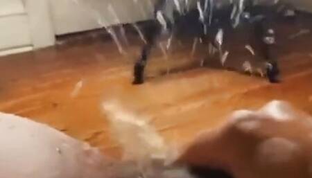 Fat Latina pussy squirts crazy