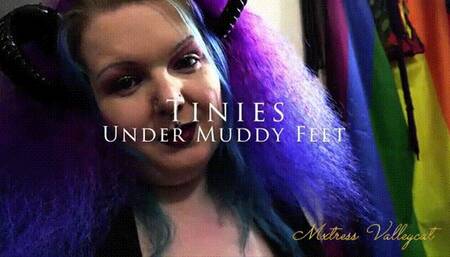 Tinies Under Muddy Feet (wmv)