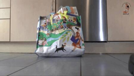 Cardboard boxes trample