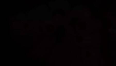 My pet had a hell of a good time just admiring all of my toes