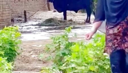 Mere papa k dost ne mujhe zabardasti choda Meri phudi ma lun dala