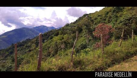 Go Hiking with my College Classmate