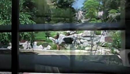 Moving Day Interrupted For Sex - Moving Day Interrupted For Sex