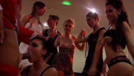 A party with plenty of hard liquor turns into a really hot orgy