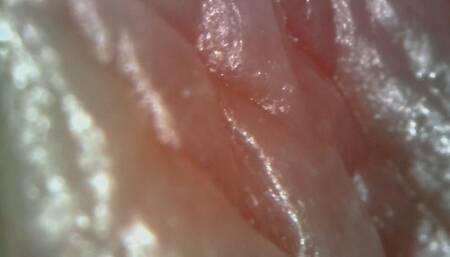 Microscope or endoscope? Sensational farts in a Vore edition inside my ass 4K