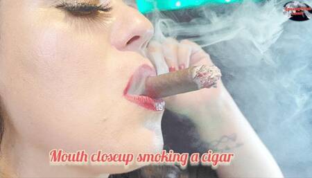 Mouth closeup smoking a cigar - SFL191