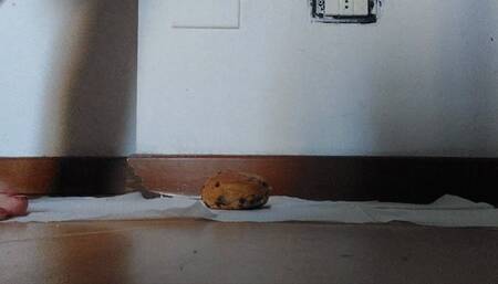 Crushed like brioches