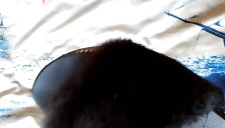Ex wife slippers fuck and cum