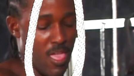 Black hard cock for sexy wild ebony slut