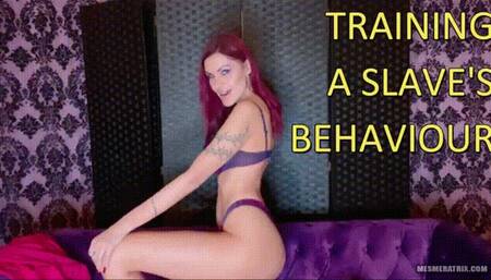 TRAINING A SLAVE'S BEHAVIOUR