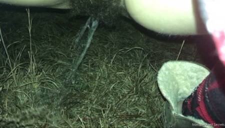 Risky Outdoor Bushy Pees HD