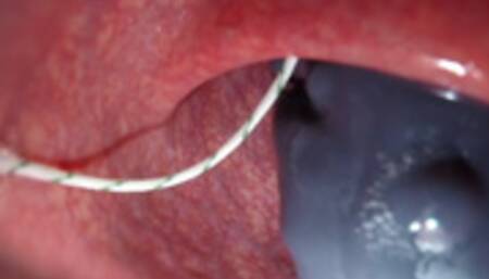 Internal View Bad Dragon Flint Cum and Pumps my Guts Full