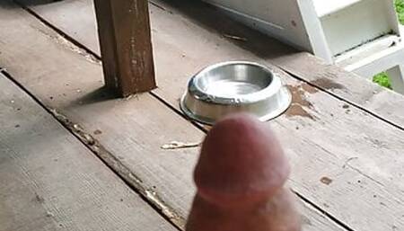 At the cabin