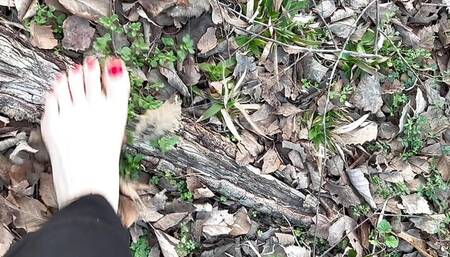 Solely Footings