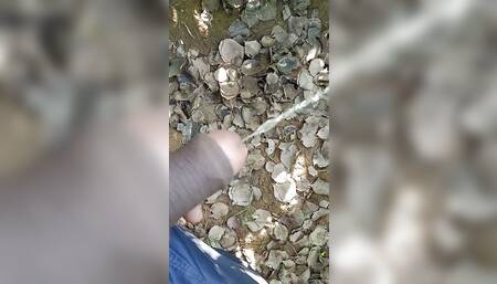 Desi boy piss