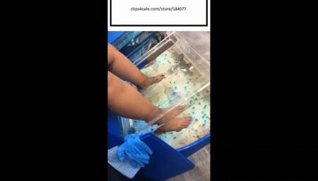 Delicious Fish Pedicure and Massage