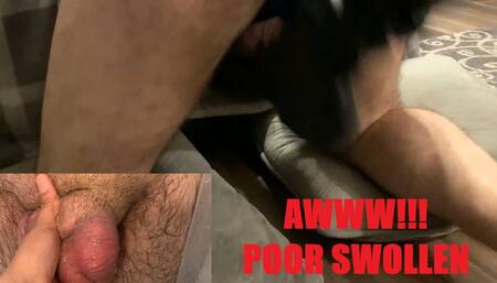 I KICKED HIM SO HARD IN THE BALLS THEY ARE TWICE THEIR NORMAL SIZE