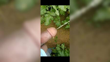 Desi boy piss part 2