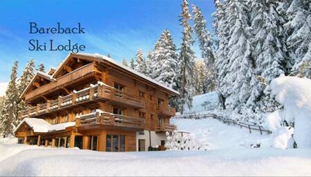 Cozy snowday turns into breeding session!