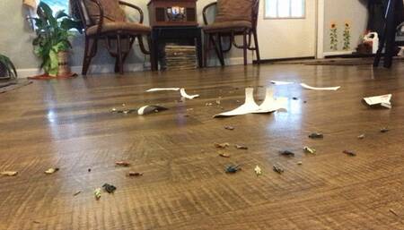 Tinies swept up and crushed in Giantess trash