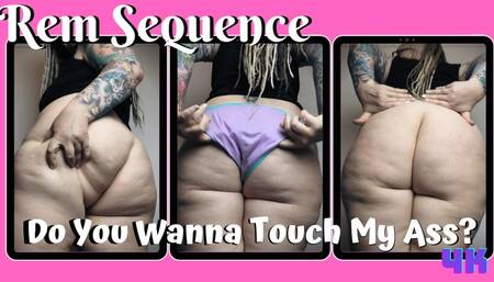 Do You Wanna Touch My Ass WMV