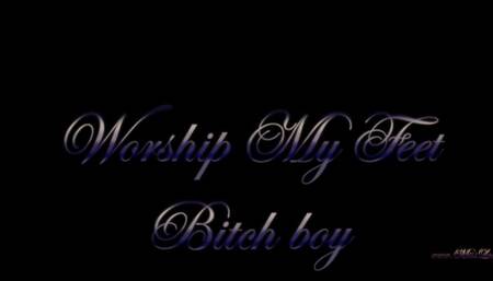 Worship My Feet Bitch Boy