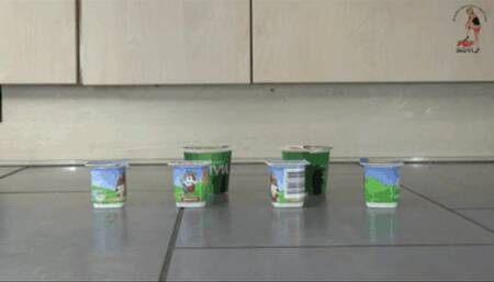 Yogurt and Pudding under sweet Rain Boots