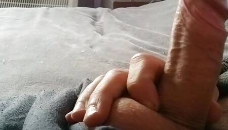 Home Alone Webcam