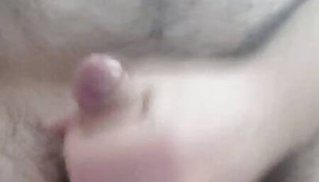 Young  bear masturbation