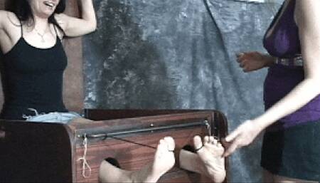 Tickle shorts 269-1080