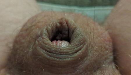 Inserting a cheap bullet vibrator, clitty is so small and weak it can't push it out on its own
