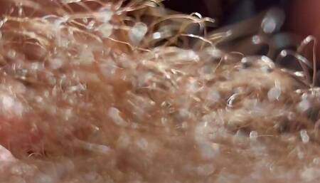 Hairy pussy