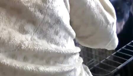 Hot Janice Blowjob Big Dick closeup