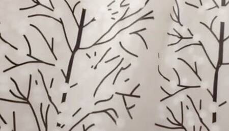 Nobody wants it because it is small