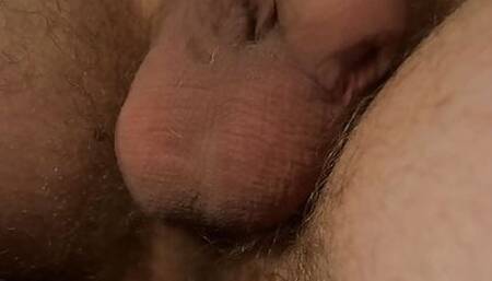 Cock and balls timelaps