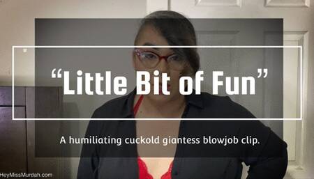 Little Bit of Fun 4K