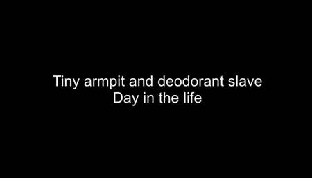 Macrophilia - giant armpit slave trapped in deodorant roll on