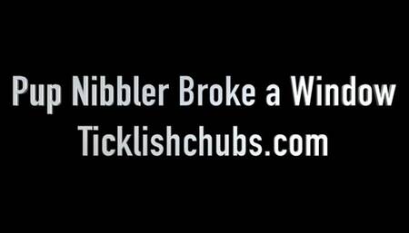 Pup Nibbler Broke a Window