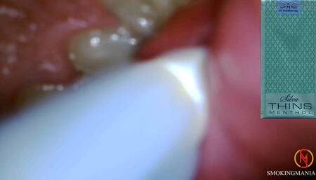 Silva Thins Menthol inside